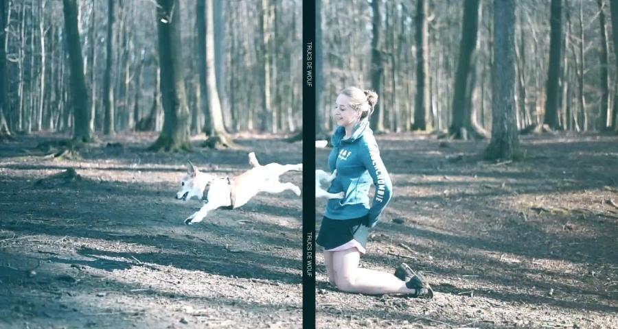 Trucs de wouf - apprentissage du "pas bouger"