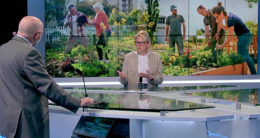 Invité : partage de potagers entre propriétaires et candidats jardiniers