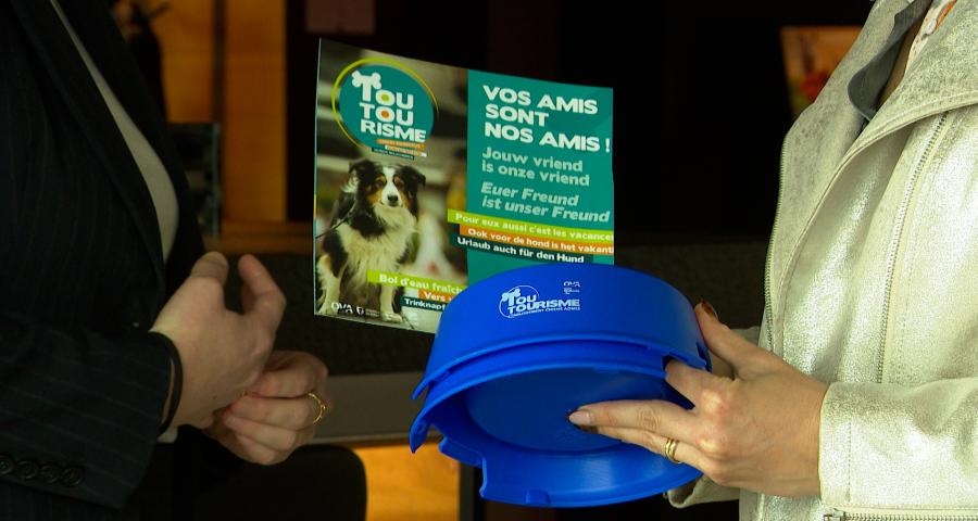 Toutourisme: un label chiens admis