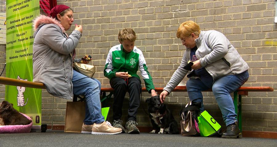 À Engis, un salon pour sensibiliser au bien-être animal