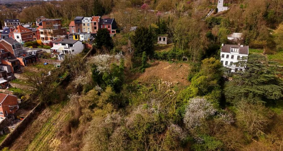 Côteaux de la Citadelle : pas d'élagage sans autorisation même pour l'Evêché