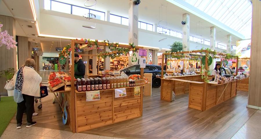 Les Eco Days au centre de l'attention à Belle-Île