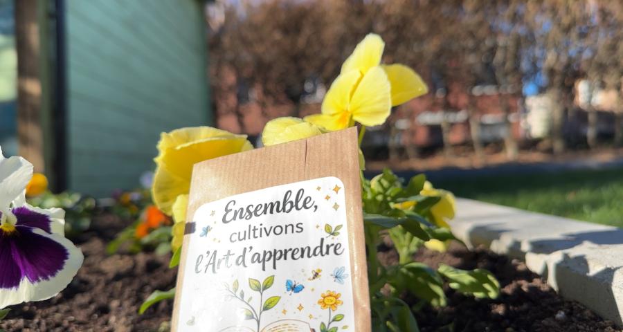 Noouvelle pédagogie à l'école communale de Lonchamps