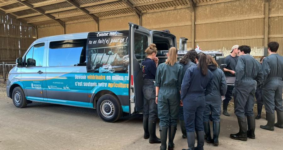 ULiège : les étudiants vétérinaires avec une clinique mobile en province de Luxembourg