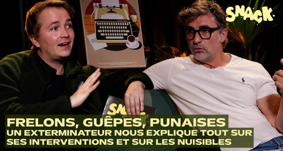 Snack -  Frelons, guêpes, rats, punaises de lit : un exterminateur nous explique comment s’en débarrasser !