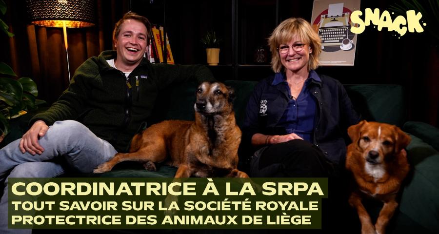 Snack - 165 abandons d'animaux par jour en Belgique : la SRPA de Liège nous explique la réalité des refuges