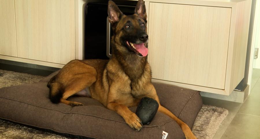 Nouvel environnement, nouvelles règles