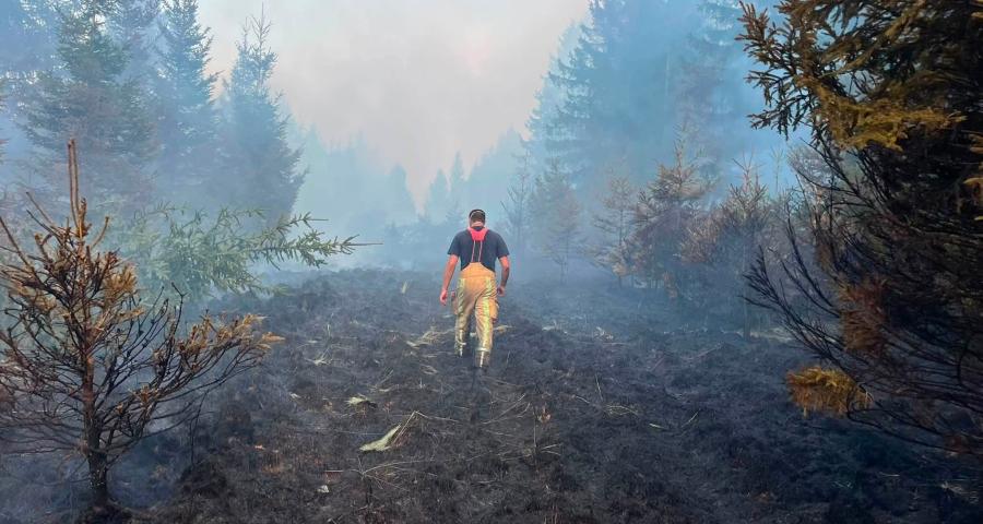 Fagnes : le feu est partout contrôlé mais les interventions restent difficiles