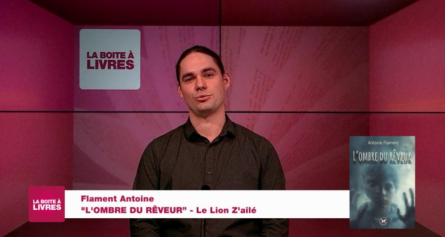 L'ombre du rêveur
