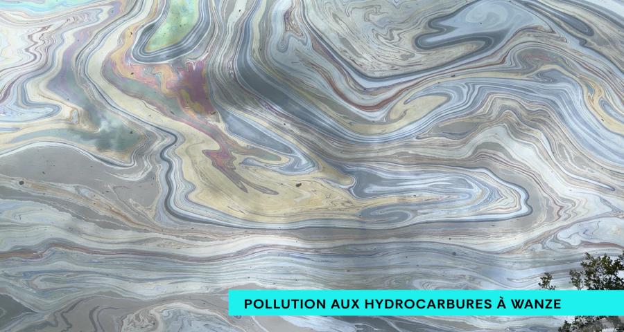Pollution aux hydrocarbures dans la Meuse à Bas-Oha (Wanze) : "Ça peut être de l'huile ou du mazout"