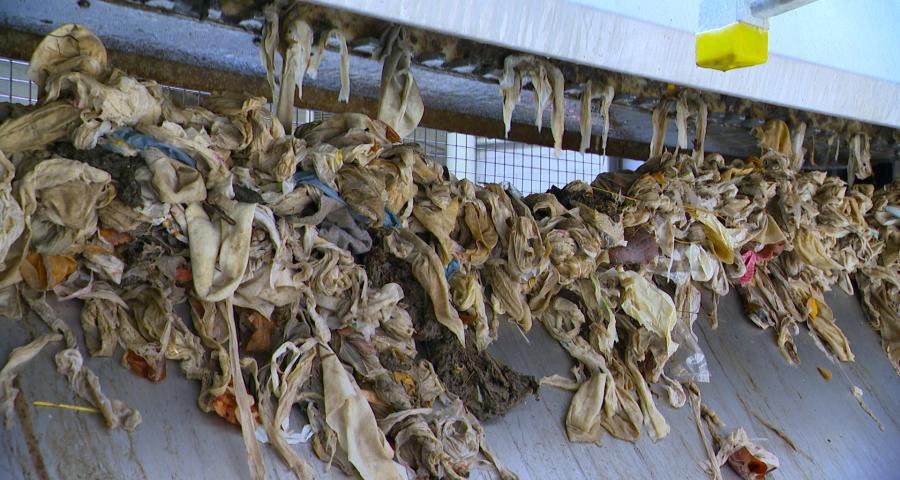 Les lingettes à usage unique, biodégradables ou non, créent quotidiennement des bouchons dans nos stations d'épuration