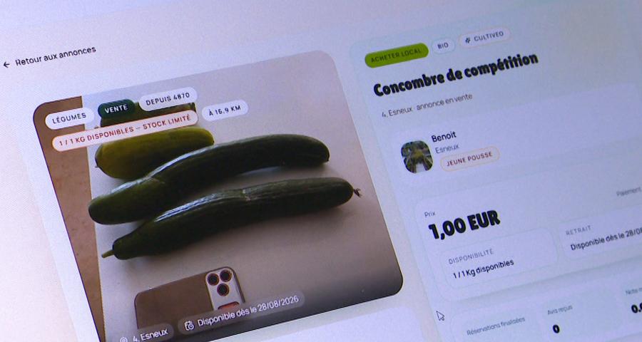 Cultiveo.be : une plateforme pour échanger le surplus de ses récoltes
