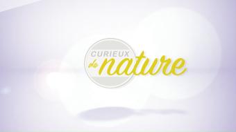 Curieux de nature