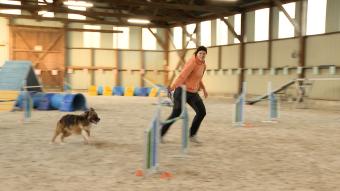 L'agility
