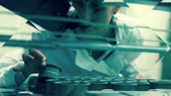 Dans les secrets du cerveau humain