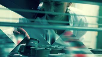 Écritures et langages