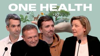 One Health : quand la santé humaine dépend aussi des animaux… et de la planète